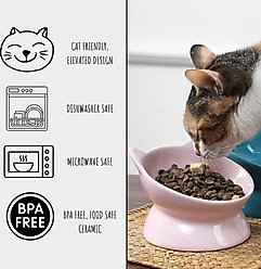 Park Life Designs Oscar Tilt Elevated Cat Bowl, Blue, 1-cup, 2 count slide 2 of 7