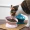Show in main carousel: Park Life Designs Oscar Tilt Elevated Cat Bowl, Blue, 1-cup, 2 count slide 7 of 9