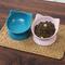 Show in main carousel: Park Life Designs Oscar Tilt Elevated Cat Bowl, Blue, 1-cup, 2 count slide 5 of 9