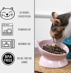 Park Life Designs Oscar Tilt Elevated Cat Bowl, Grey, 1-cup, 2 count slide 2 of 5