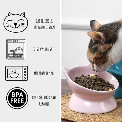 Show full view: Park Life Designs Oscar Tilt Elevated Cat Bowl, White, 1-cup, 2 count slide 4 of 5