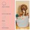 Show in main carousel: Park Life Designs Sienna Cotton Dog Toy Storage Basket, 12 x 12-in slide 5 of 5