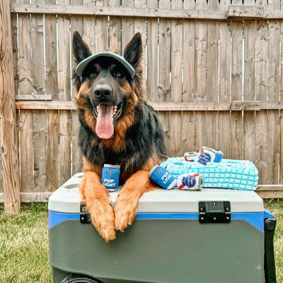 Show full view: Patchwork Pet Squeaky Beers on Ice Dog Toy, 14-in slide 3 of 4