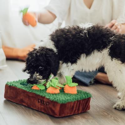 Show full view: Patchwork Pet Squeaky Carrots in the Garden Dog Toy, 14-in slide 4 of 5