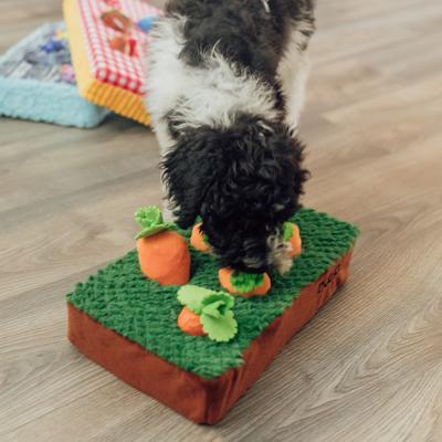 Show full view: Patchwork Pet Squeaky Carrots in the Garden Dog Toy, 14-in slide 3 of 5