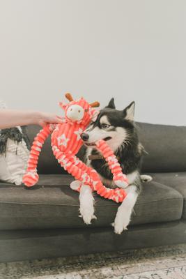 Show full view: Patchwork Pet Squeaky Gigi Giraffe Dog Toy, 24-in slide 5 of 6