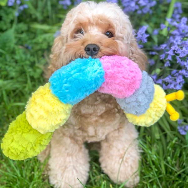 Patchwork Pet Squeaky Pastel Caterpillar Dog Toy, 20-in