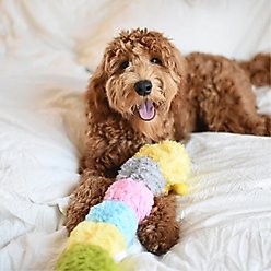 Patchwork Pet Squeaky Pastel Caterpillar Dog Toy, 35-in slide 2 of 3