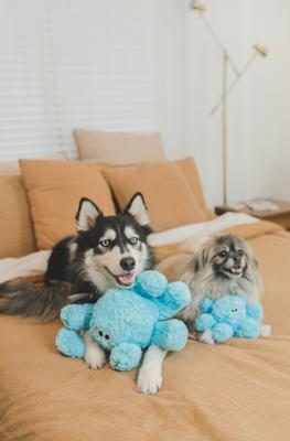 Show full view: Patchwork Pet Squeaky Pastel Octopus Dog Toy, 15-in slide 3 of 4