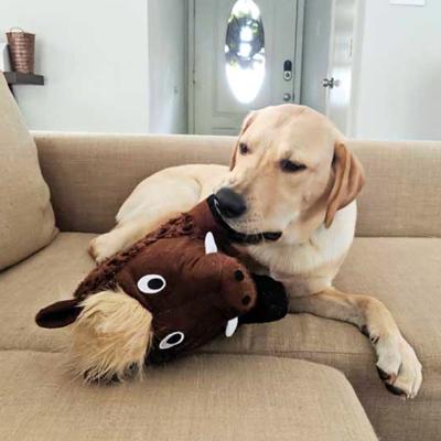 Show full view: Patchwork Pet Squeaky Swirl Warthog Dog Toy, 14-in slide 4 of 4