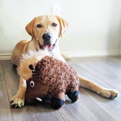 Show full view: Patchwork Pet Squeaky Swirl Warthog Dog Toy, 14-in slide 2 of 4