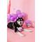 Show in main carousel: Patchwork Pet Tough Prickles Clam with Pearl Dog Toy, 5-in slide 3 of 3