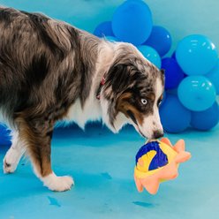 Patchwork Pet Tough Prickles Sun with Moon Dog Toy, 5-in slide 2 of 5