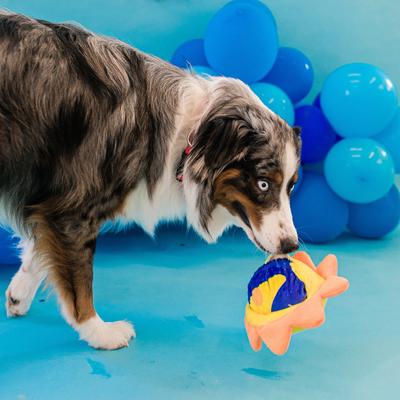 Show full view: Patchwork Pet Tough Prickles Sun with Moon Dog Toy, 5-in slide 5 of 5