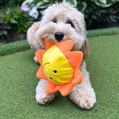 Show full view: Patchwork Pet Tough Prickles Sun with Moon Dog Toy, 5-in slide 4 of 5