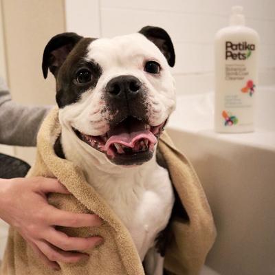 Show full view: Patika Pets Smart Formula Botanical Skin & Coat Cleanser Dog Shampoo, 16.5-fl oz bottle slide 5 of 10