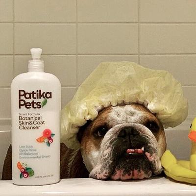 Show full view: Patika Pets Smart Formula Botanical Skin & Coat Cleanser Dog Shampoo, 16.5-fl oz bottle slide 7 of 10