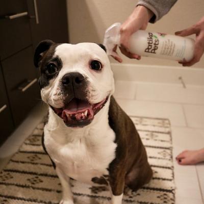 Show full view: Patika Pets Smart Formula Botanical Skin & Coat Waterless Cleanser Dog Spray, 16.2-fl oz bottle slide 3 of 8
