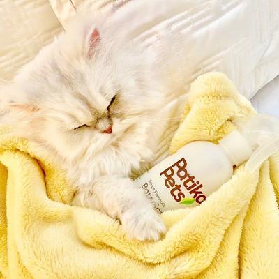 Show full view: Patika Pets Smart Formula Botanical Skin & Coat Waterless Cleanser Dog Spray, 16.2-fl oz bottle slide 4 of 8