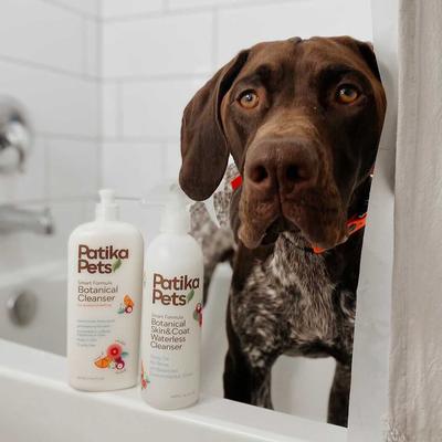 Show full view: Patika Pets Smart Formula Botanical Skin & Coat Waterless Cleanser Dog Spray, 16.2-fl oz bottle slide 7 of 8