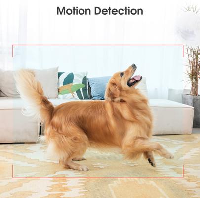 Show full view: PATPET 2.4G WIFI Auto Focus Night Vision Camera, 3MP HD Monitor, White slide 4 of 6