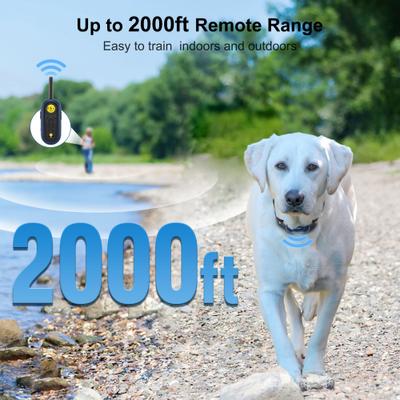  PATPET 2000-ft Waterproof & Adjustable Dog Training Collar, 9.8-25-in