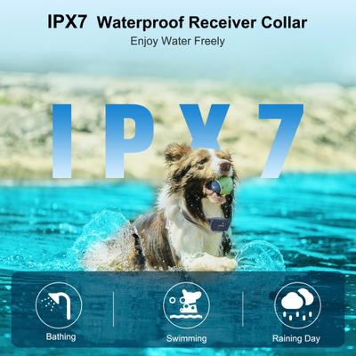  PATPET 2000-ft Waterproof & Adjustable Dog Training Collar, 9.8-25-in