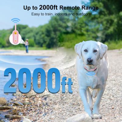 Show full view: PATPET 2000-ft Waterproof & Adjustable Dog Training Collar, 9.8-25-in, Pink slide 3 of 11