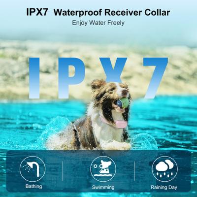 Show full view: PATPET 2000-ft Waterproof & Adjustable Dog Training Collar, 9.8-25-in, Pink slide 4 of 11