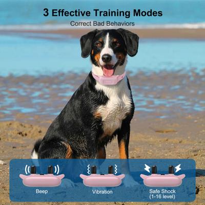 Show full view: PATPET 2000-ft Waterproof & Adjustable Dog Training Collar, 9.8-25-in, Pink slide 2 of 11