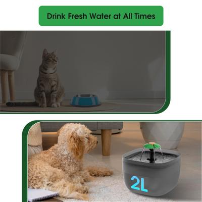Show full view: PATPET 360 Degree Flower Stream Quiet with Quadruple Action Filter Dog & Cat Water Fountain, 2-L, Black slide 4 of 8
