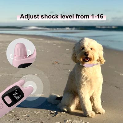 Show full view: PATPET P682 Lightweight 1000-ft Remote Dog Training Collar, Pink, Small slide 8 of 11
