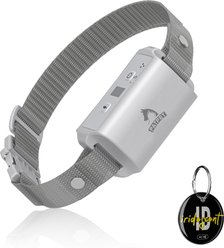 PATPET A01 Anti-Bark Training Dog Collar, Grey