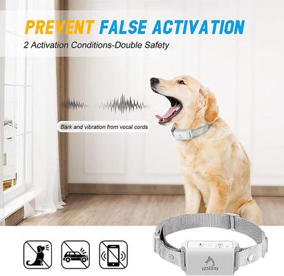 Show full view: PATPET A01 Anti-Bark Training Dog Collar, Grey slide 5 of 11