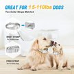 Show in main carousel: PATPET A01 Anti-Bark Training Dog Collar, Grey slide 6 of 11