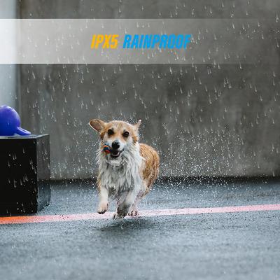 Show full view: PATPET A01 Anti-Bark Training Dog Collar, Grey slide 7 of 11