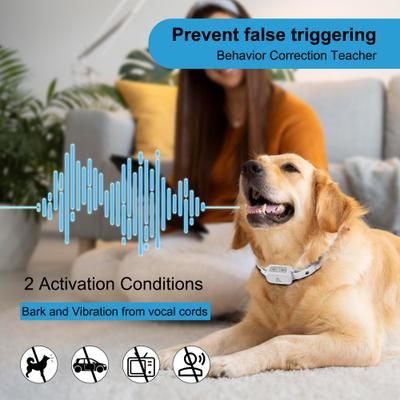 Show full view: PATPET A12 Waterproof Electronic Smart Shock Training Dog Collar, Gray slide 3 of 9