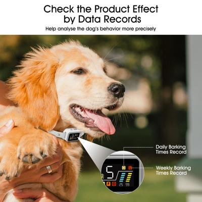 Show full view: PATPET BC02 AI 5 Adjustable Sensitivity Anti Bark Control Training Dog Collar slide 3 of 10