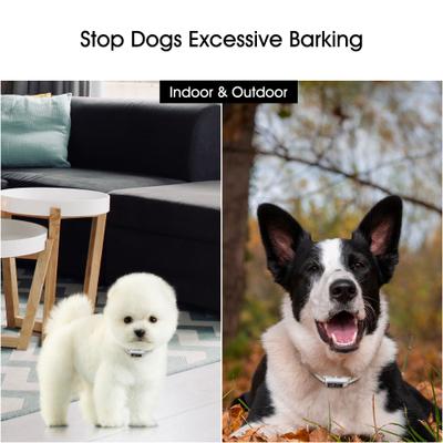 Show full view: PATPET BC02 AI 5 Adjustable Sensitivity Anti Bark Control Training Dog Collar slide 5 of 10