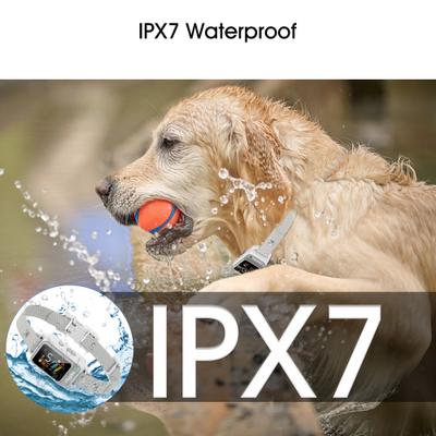 Show full view: PATPET BC02 AI 5 Adjustable Sensitivity Anti Bark Control Training Dog Collar slide 8 of 10