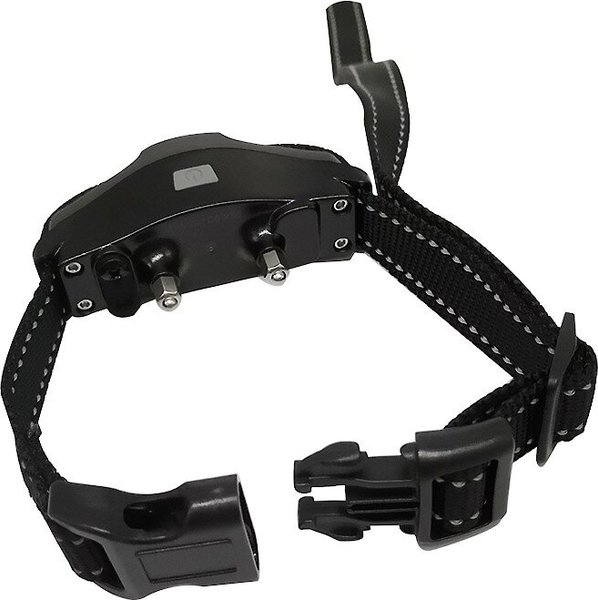 PATPET Dog Training Collar Universal Single Collar Strap