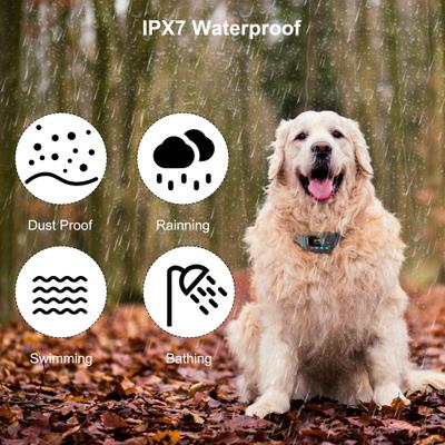 Show full view: PATPET GPS Wireless Electronic Dog Fence System, Black slide 6 of 9