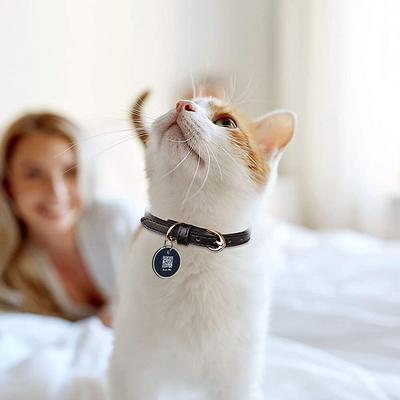 Show full view: PATPET Information Storing NFC Smart Dog & Cat ID Tag slide 5 of 8