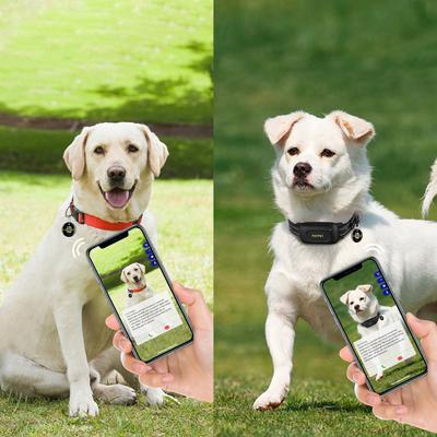 Show full view: PATPET NFC ID Pet Tag & Lightweight Remote Dog Training Electric Collar, Black, 2 count slide 5 of 11