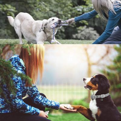 Show full view: PATPET NFC Pet ID Tag & P651 1000-ft Vibration & Beep Remote Dog Training Collar, Gray, 2 count slide 8 of 9