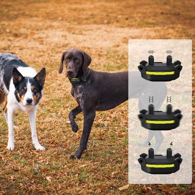 Show full view: PATPET NFC Pet ID Tag & P910 3000-ft Outdoor Remote Dog Training Shock eCollar, Black, 2 count slide 2 of 11