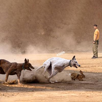 Show full view: PATPET NFC Pet ID Tag & P910 3000-ft Outdoor Remote Dog Training Shock eCollar, Black, 2 count slide 3 of 11