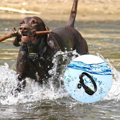 Show full view: PATPET NFC Pet ID Tag & P910 3000-ft Outdoor Remote Dog Training Shock eCollar, Black, 2 count slide 6 of 11