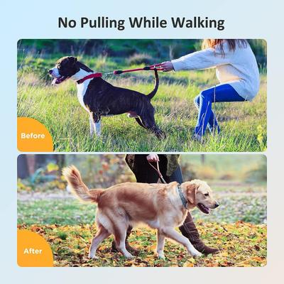 Show full view: PATPET No Pull Prong Training Pinch Dog Collar, Colorful, 20-in neck, 3.0-mm wide slide 4 of 8