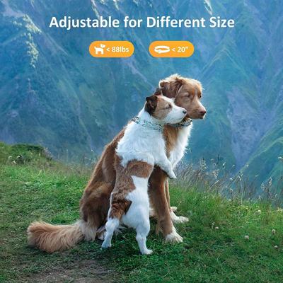 Show full view: PATPET No Pull Prong Training Pinch Dog Collar, Colorful, 20-in neck, 3.0-mm wide slide 6 of 8